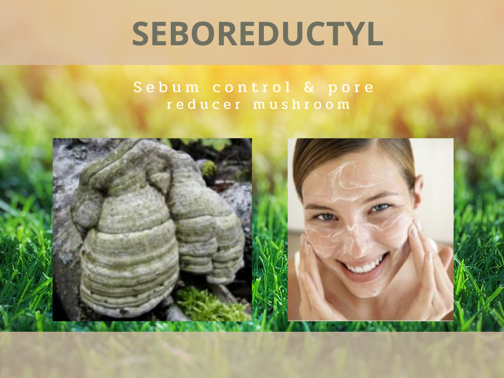 Seboreductyl  สารสกัดจากยีตส์,เห็ดFomes Officinalis และVitamin B Complex ช่วยควบคุมการหลั่งไขมัน กระชับรูขุมขน ลดการเกิดสิว